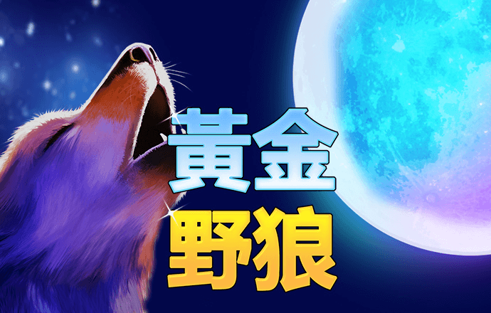 香港资料大全正版资料手机安装